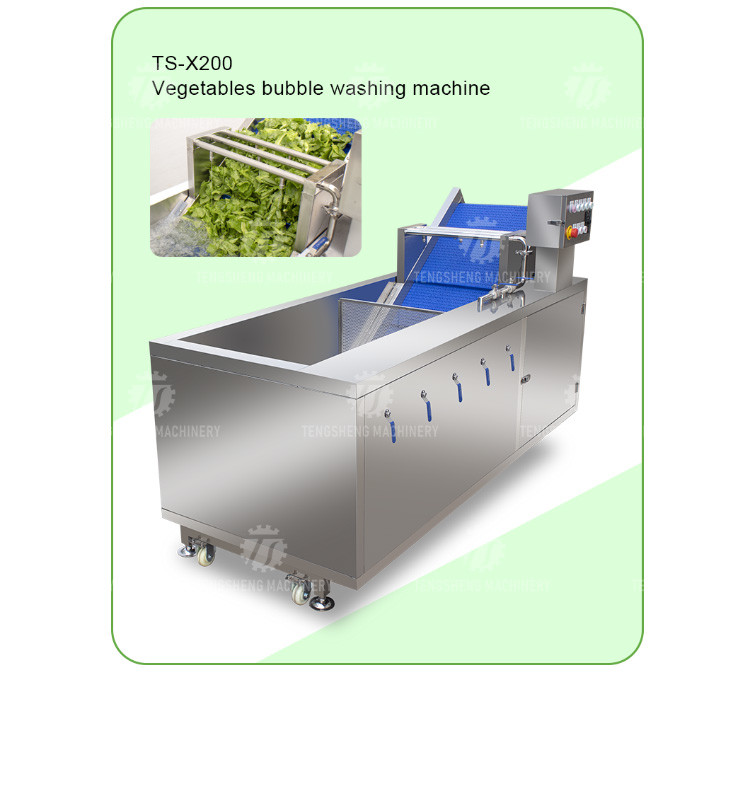 Tengsheng Fruit And Vegetable Washing Machine Pests Eliminating Saint Dragon Fruit