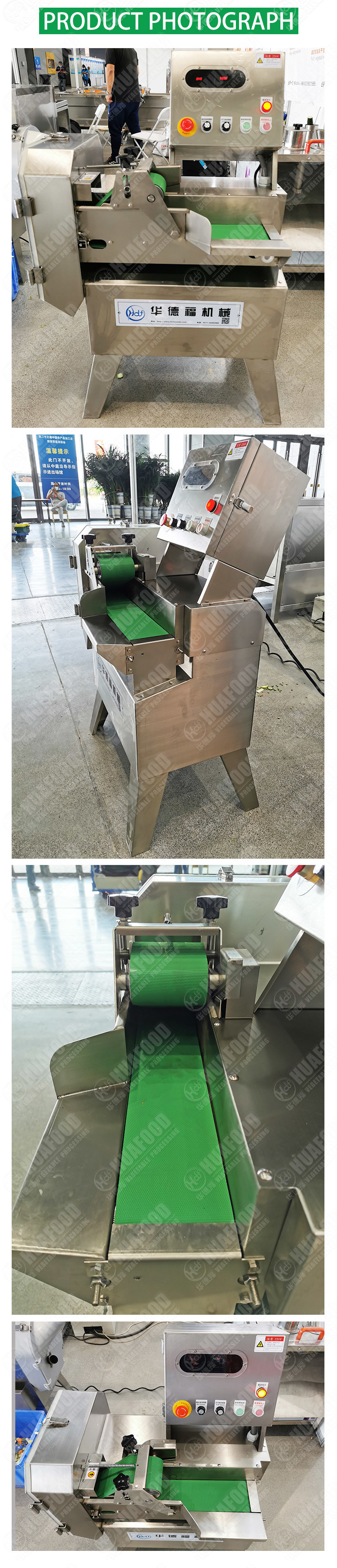 220v 50hz 0.37kw 500kg/H Vegetable Cutter Machine