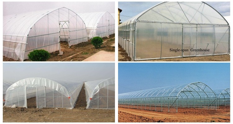 Film Covered Agricultural Tunnel Greenhouse for Growing Vegetables Fruits and Flowers