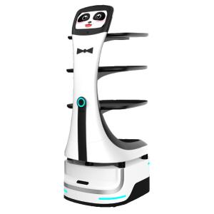 High Accuracy Panda AI Delivery Robot Autonomous Delivery Robot