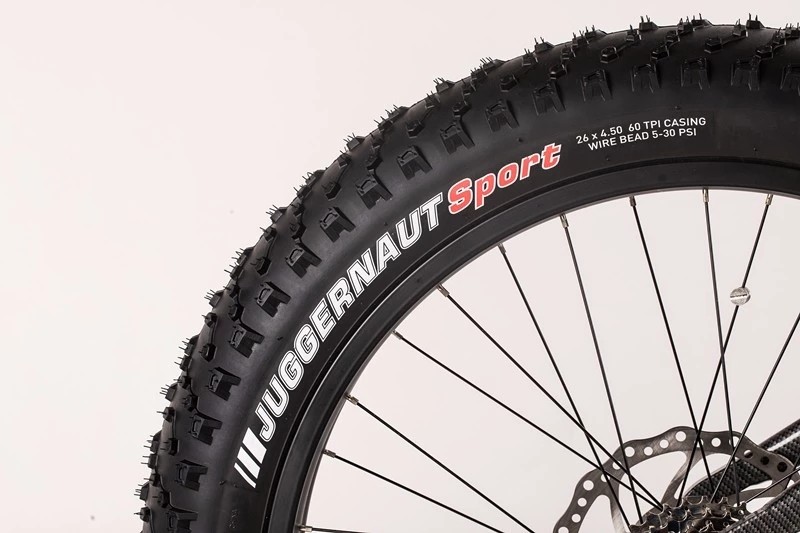 Fat City E Bike With TEKTRO Hydraulic Disc Brake CE RoHS Certificate