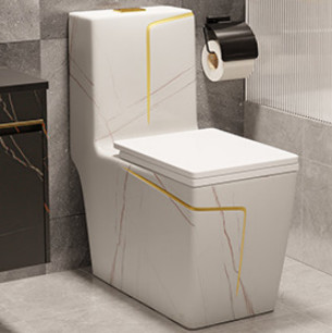 Siphon Flushing Floor Mounted Black White Toilet S Trap Hotel Design