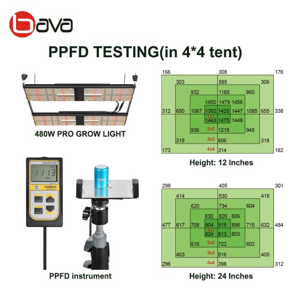 4x4 Bavagreen LM301H 480w Samsung LED Grow Light 1248umol/s