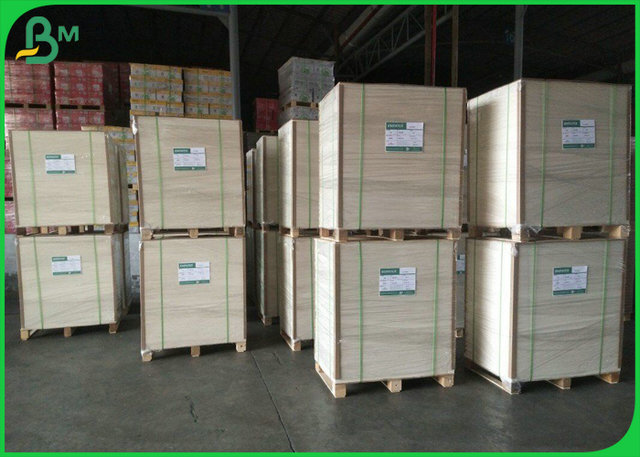 ECO 210 230 Grammages Cup Base Paper Board Coated Polyethylene For Paper Cup 