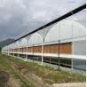 Buy cheap Large Size Clear Plastic Film Greenhouse Multi Span 3-6m Gutter Height from wholesalers