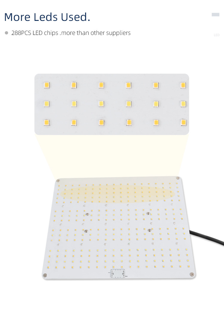 UL 100W Aluminum Alloy High PPFD Grow Light