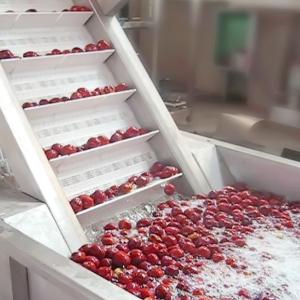 Juice Extractor Machine Fruit Juice Processing Line 20T/D－2000T/D Capacity