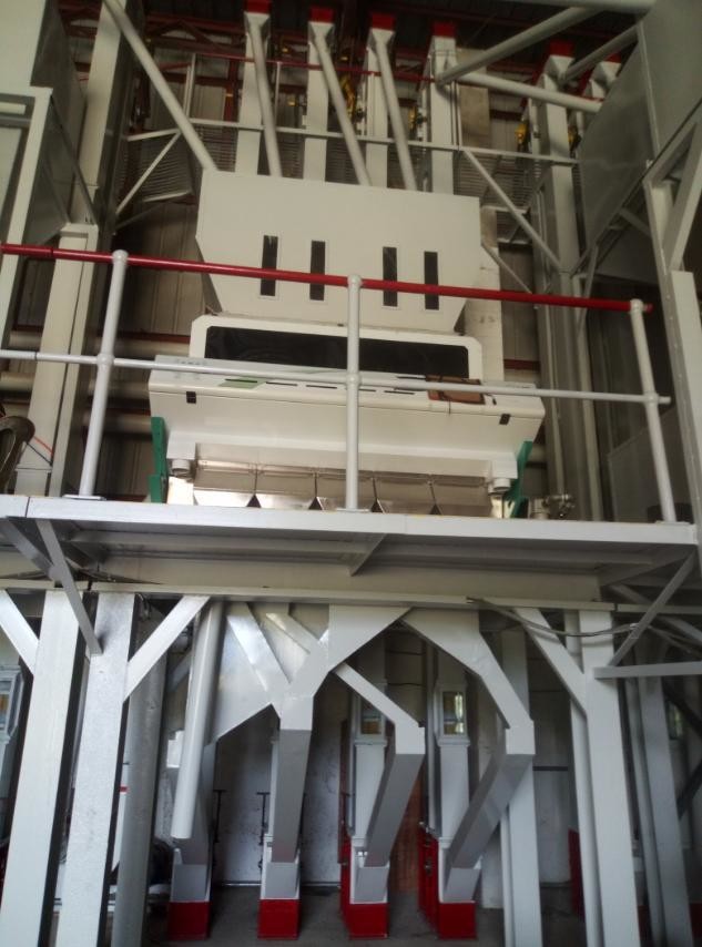 Larger Capacity Pine Nuts Color Sorter With FPGA Process Chip