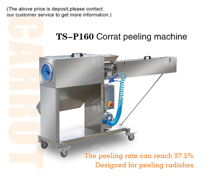 Corrat peeling machine Carrot processing production Destoning Supplying Peeling & polishing
