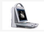  Hand Held Ultrasound Devics Portable Ultrasound Scanner with 10.4 Inch High Resolution Screen Manufactures