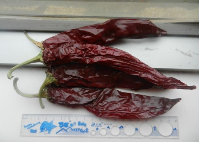 AD Dry Chile Guajillo Pepper Spicy Single Herbs Sweet Paprika With Stem