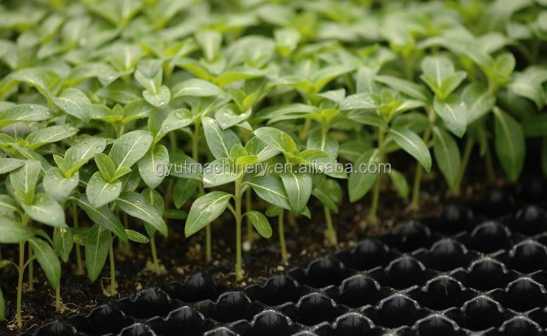 Auto Tray Seeding Sowing Machine With Trays for Vegetable Seed Sowing 28X54CM Plat Size