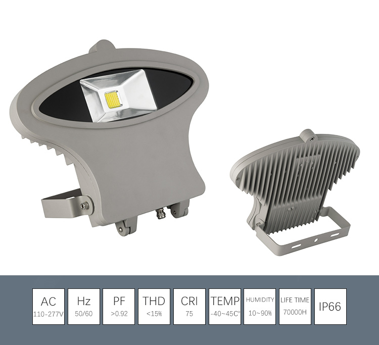 JD-F016 10W 30W 50W COB Led FloodLight
