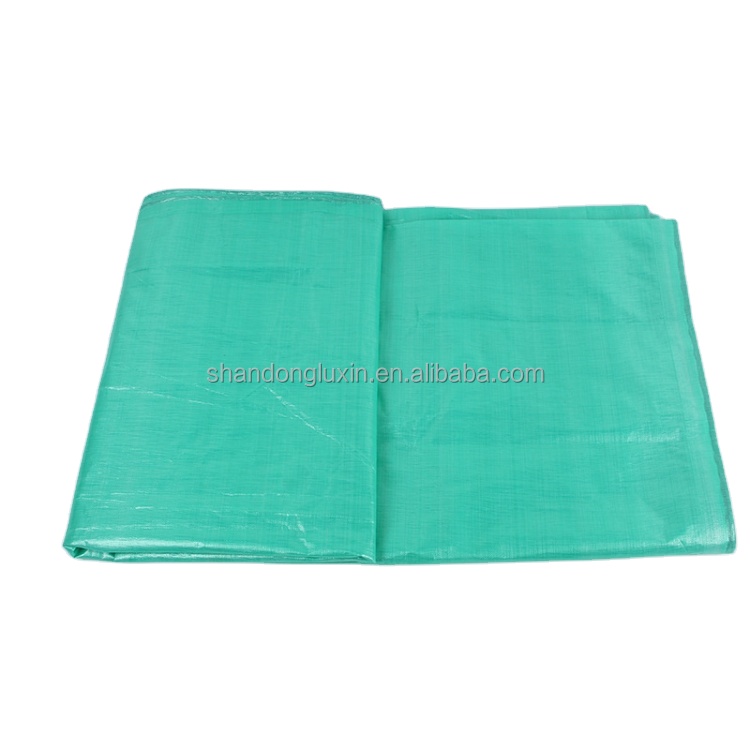 UV Protected Plastic Fabric Sheet for Agriculture/Industrial Cover in Standard Size