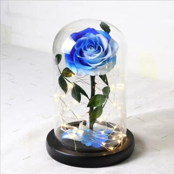 Best Valentines Day Gifts Multiple Colours Preserved Everlasting Real Rose