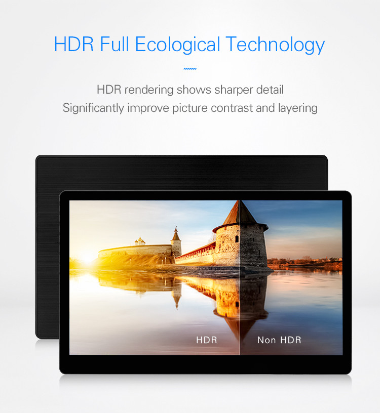 178 Degree Full View 72% Color Gamut 13.3 Inch Portable Console Monitor