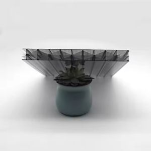 Transparent Eco-friendly X-structure Multiwall Polycarbonate Sheet 16mm
