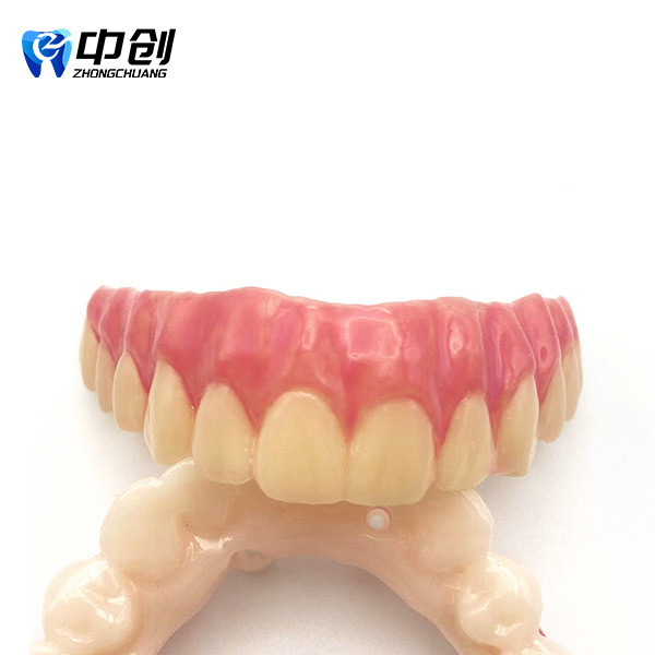 Pink Opaque Gum Color Light-cured Resin With Base Color Blocking