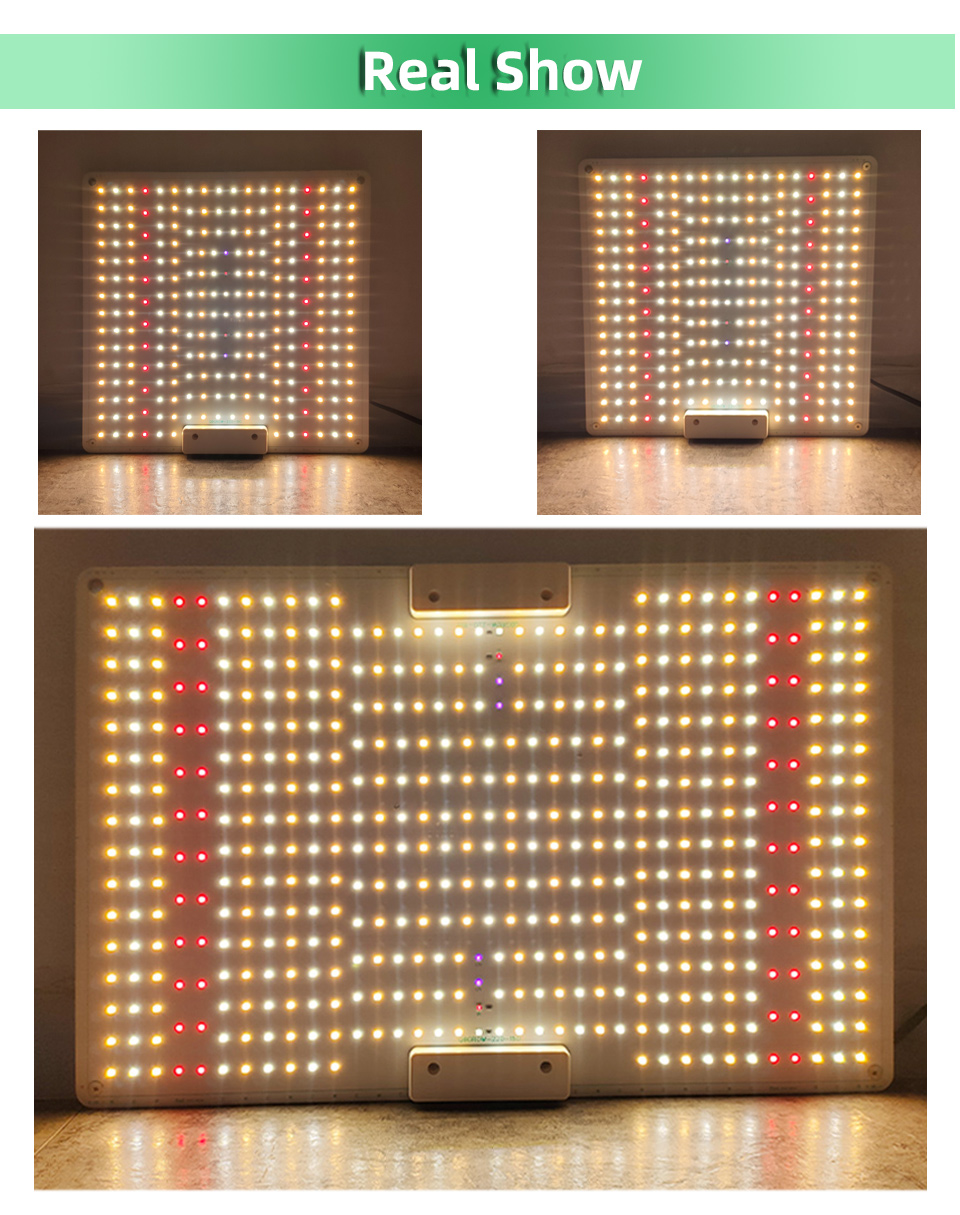 150W 65 Watt Plant Light Growth Phyto Lamp For Greenhouse Plants