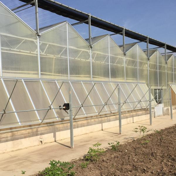 Multi-Span Agricultural Greenhouses for Sustainable Fruits and Vegetables
