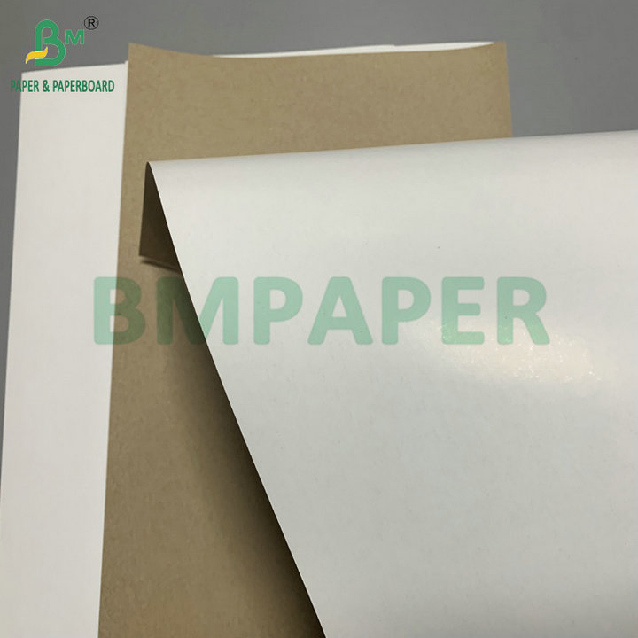 300gsm 350gsm SBS Solid Bleach Sulphate For Making Folding Carton 