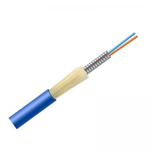 China Indoor Metal 2 Core Optical Fiber Cable OFC Armoured Cable SM G657A1 PVC Blue Jacket on sale