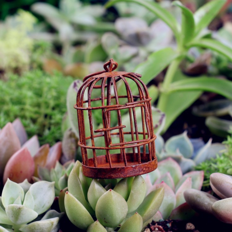 The use of birdcages with succulents or small lighting.