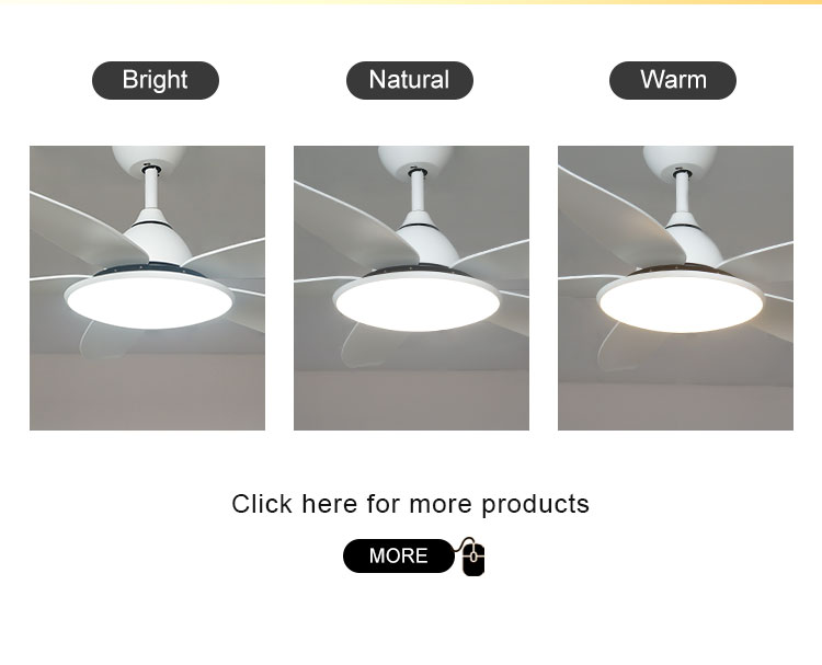 Modern Home 48" Ceiling Fan with Remote Control and Light Design 5 Plastic Blades