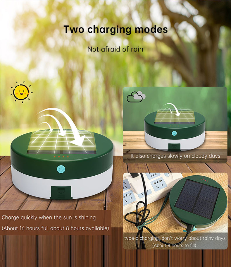 Green Orange Color Motion Sensor Outdoor Lights With Toughened Glass Lampshade