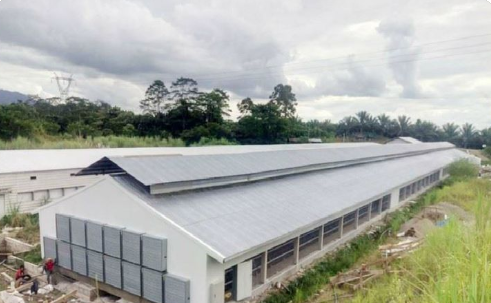 Lightweight Steel Frame House , Chicken Farm Structure Customized
