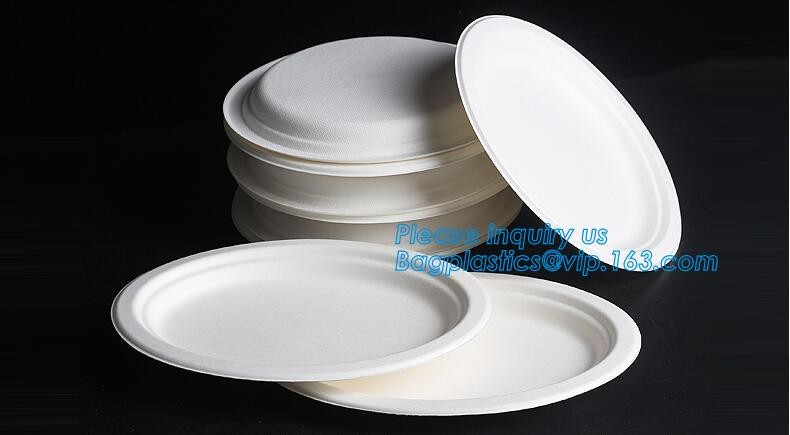 Meal Prep Containers Free Sample Bento Lunch Box Biodegradable Food Container Plastic Wheat Straw Lunch Box bagplastics