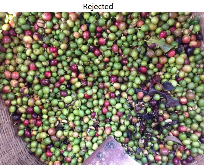 5400 Pixel CCD Image Coffee Color Sorter