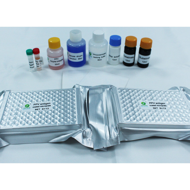 Parvovirus Antibody Diagnostic Porcine Test Kit 192Wells/Kit PPV