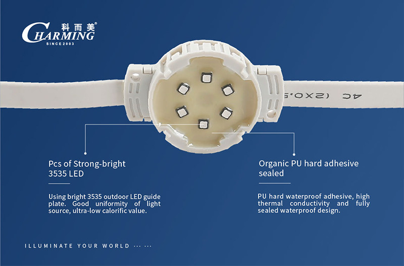 Waterproof IP68 LED Pixel Lights Outdoor 1.5W Wear Resistant