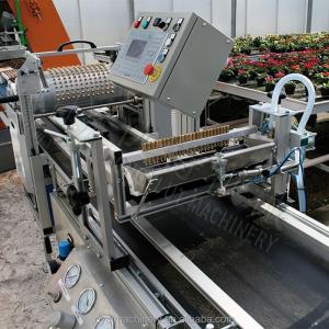 China Hydroponic Sponge Seed Planter Line for Seeding Cucumbers and Squash Automatically on sale