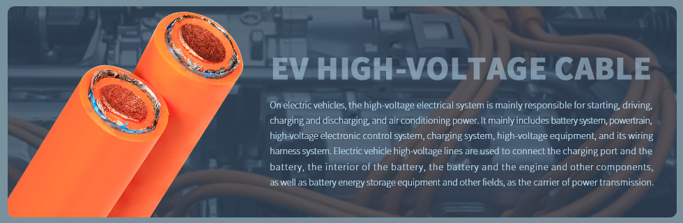 Customized High Quality Shielded Automotive Standard Wire EV Hv Automotive Power Cable