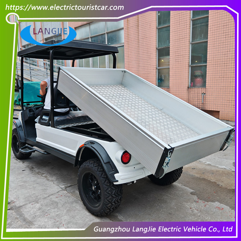 2 Seater 48V Battery Hotel Buggy Car With Cargo for Transport Luggage