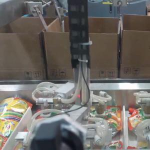 Automatic Case Packer System Multi Function E Commerce Packing Food Machine