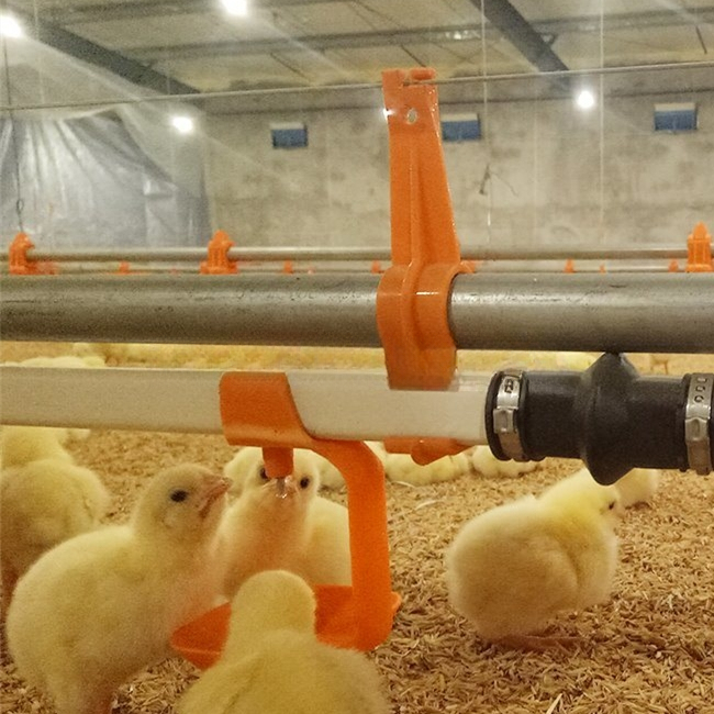 Orange Poultry Drinking Line Plasson Poultry Nipple Drinkers