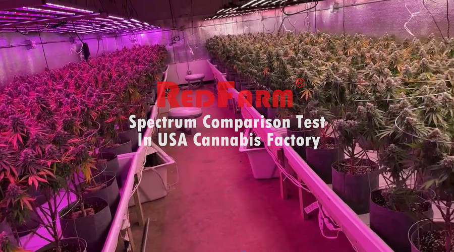 800W 8Bars Samsung LM281B Full Spectrum LED Light For Indoor 4x4 ft Hydroponics