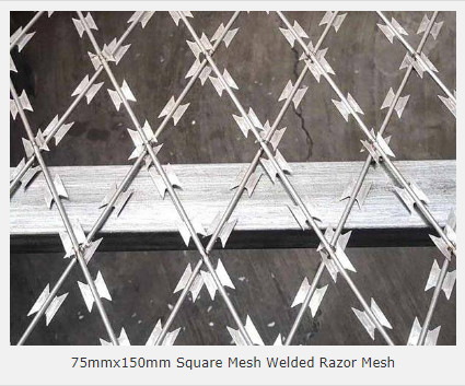 Hot Dip Galvanized Welded Razor Wire Mesh 7.5x15cm Wire Diameter 2.5mm