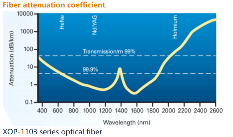 ODM Customizable Quartz Double-Clad Fiber 400nm-2500nm 200um L2m SMA905/TA/FC Connectors
