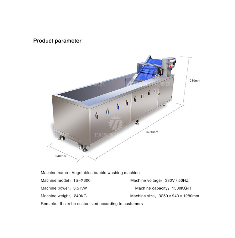 Tengsheng Fruit And Vegetable Washing Machine Pests Eliminating Saint Dragon Fruit