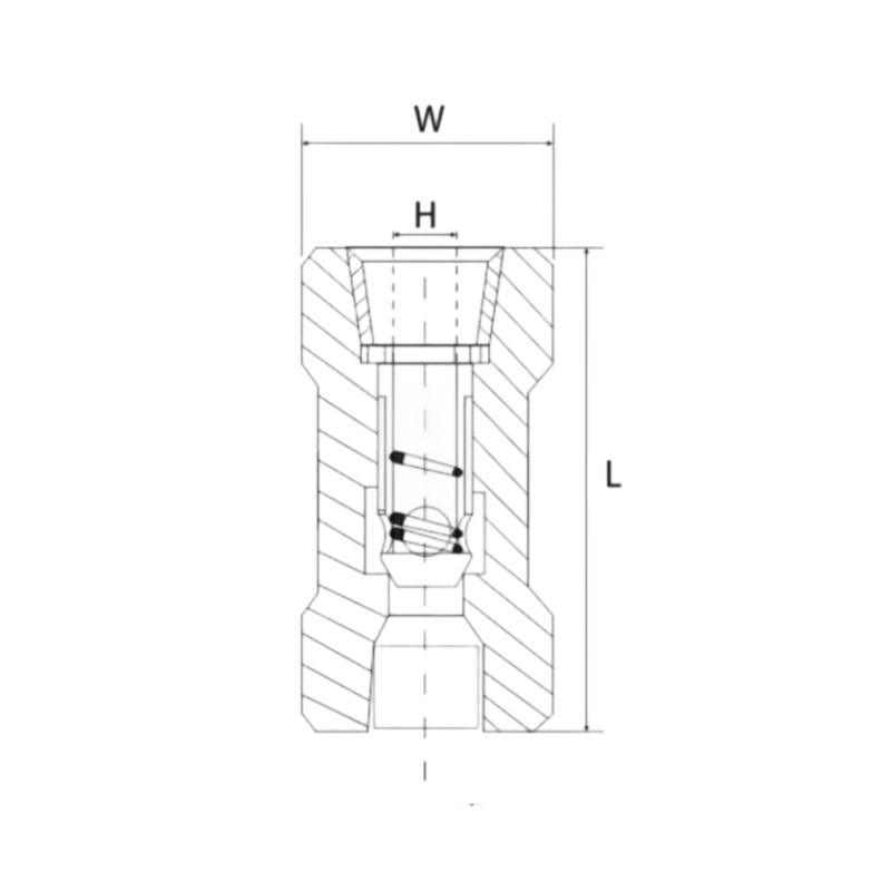 Manufacturer Direct Supply 304 Stainless Steel High Pressure Check Valve