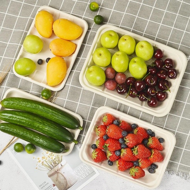 Eco Friendly Biodegradable Sugarcane Bagasse Tableware Disposable Compostable Food Tray