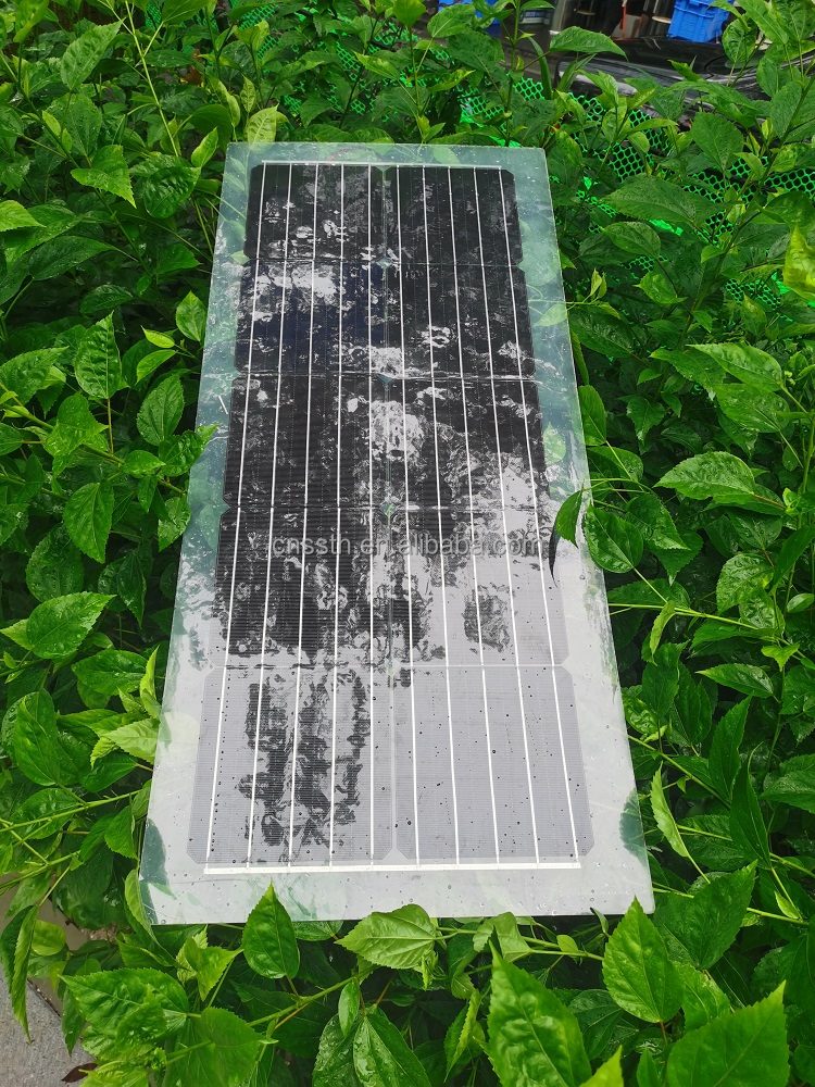 30W 40W 50W 60W 80W Solar Panel PET Semi Transparent Solar Panel 1000V