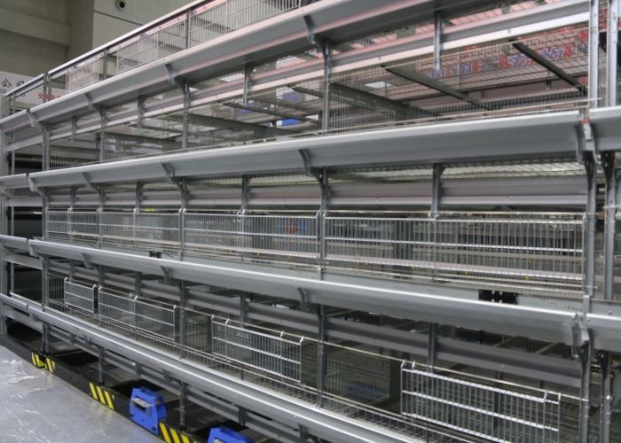 Poultry H Type Broiler Chicken Cage For Meat Chicken Convenient Management