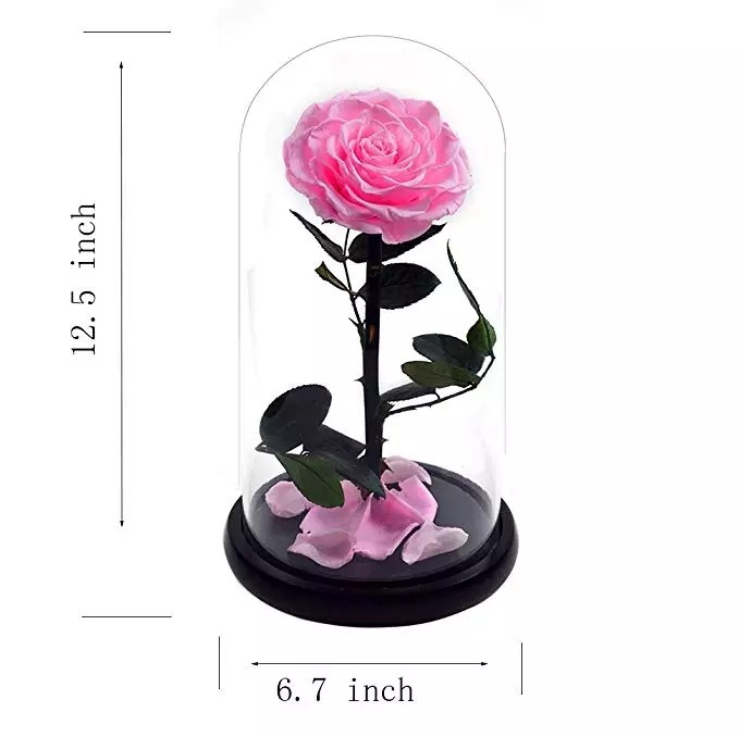 Real Preserved Rose in Glass Dome use for Office gift or Home Decoration