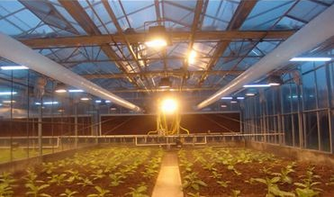 Hydroponic System for Aquaponics in Multi-Span Agricultural Greenhouse
