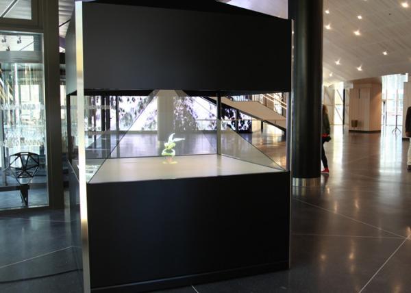 High Resolution 360 Degree Holographic Display Showcase In shop Advertising &